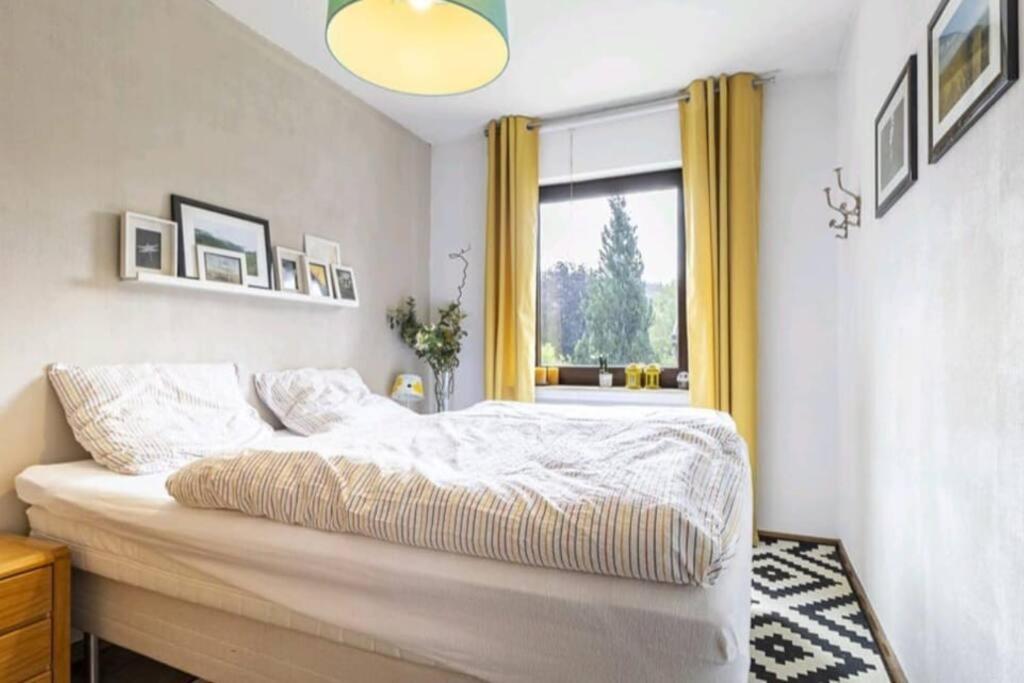 Apartment Mit Kamin-Sonnendurchflutet-Balkon Winterberg Eksteriør bilde